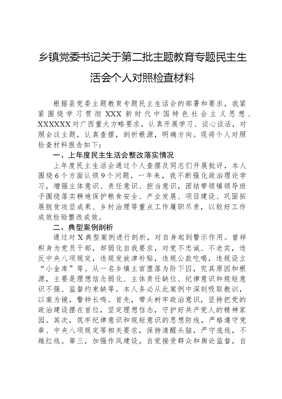 乡镇党委书记关于第二批主题教育专题民主生活会个人对照检查材料.docx,第1页预览