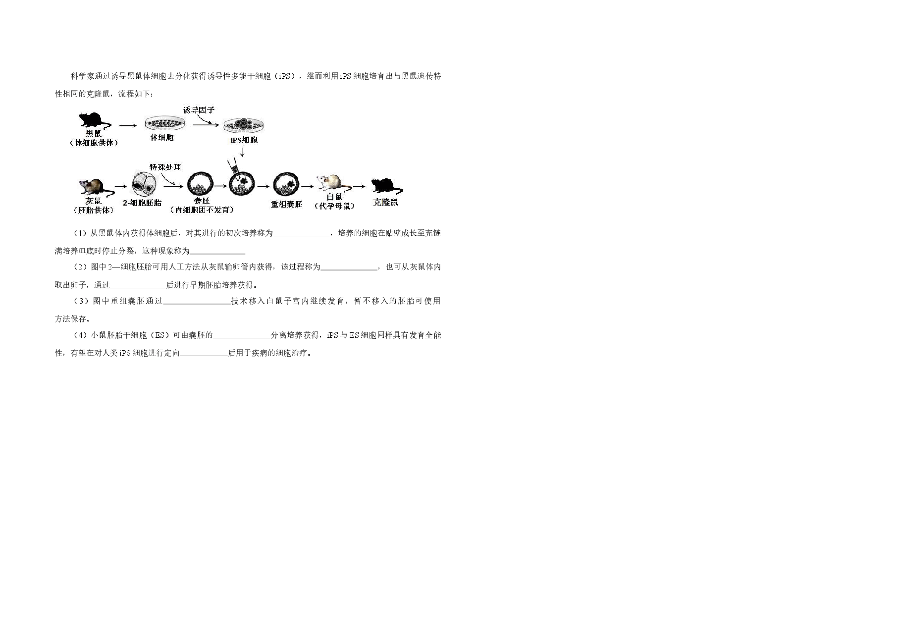 2013年高考真题 生物(山东卷)(原卷版).docx,第4页预览