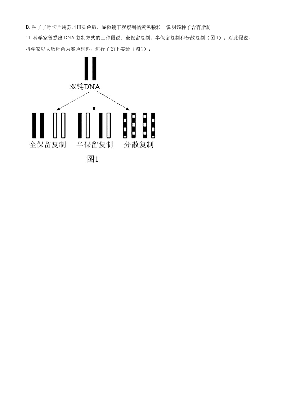 精品解析:2022年新高考海南生物高考真题(原卷版).docx,第4页预览