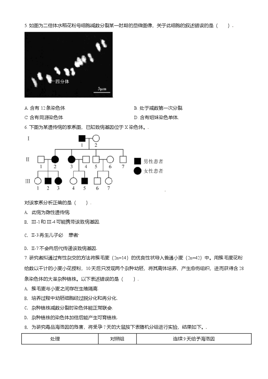 2021年北京市高考生物试卷（原卷版）.doc，第2页预览