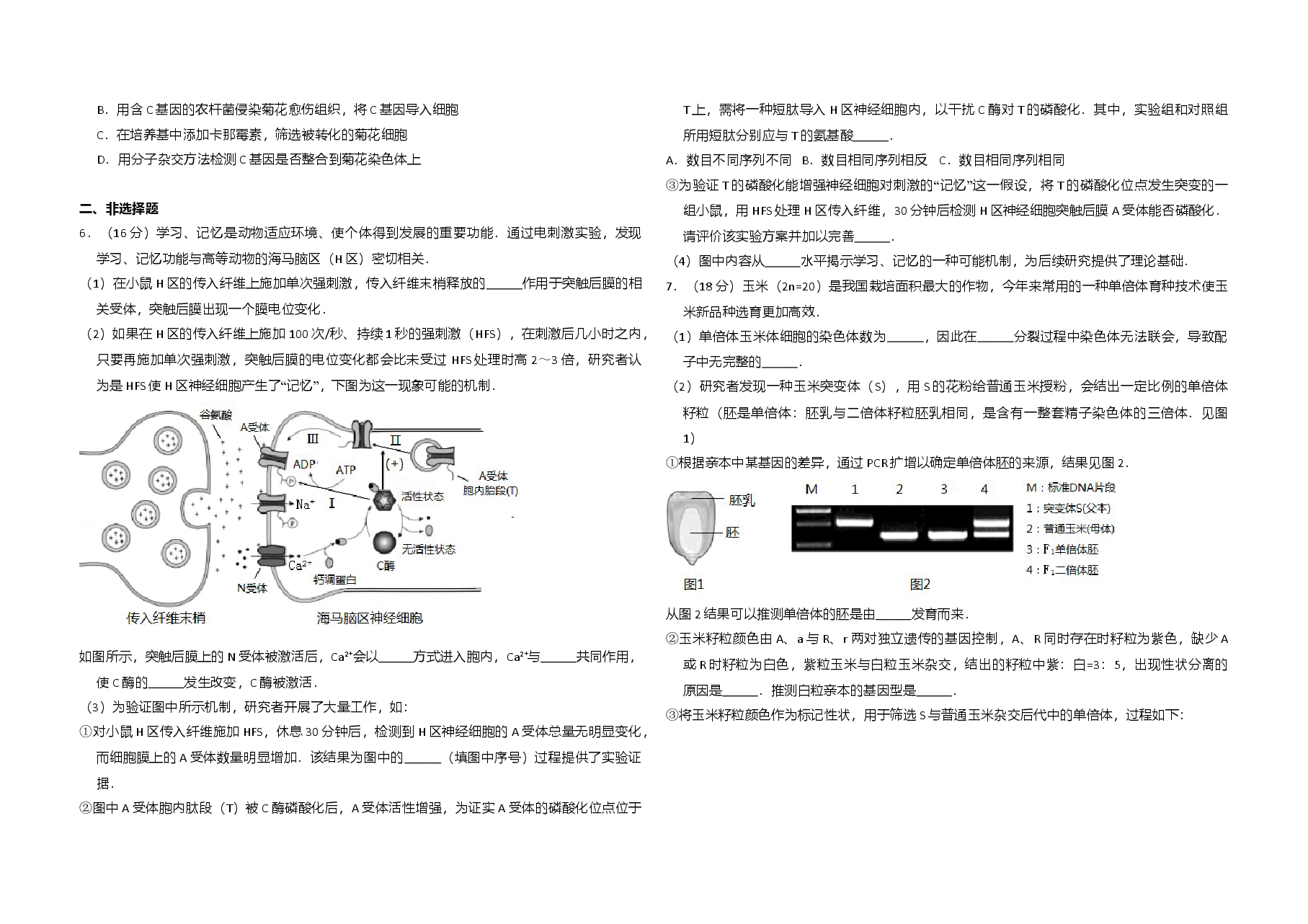 2017年北京市高考生物试卷(含解析版).doc,第2页预览