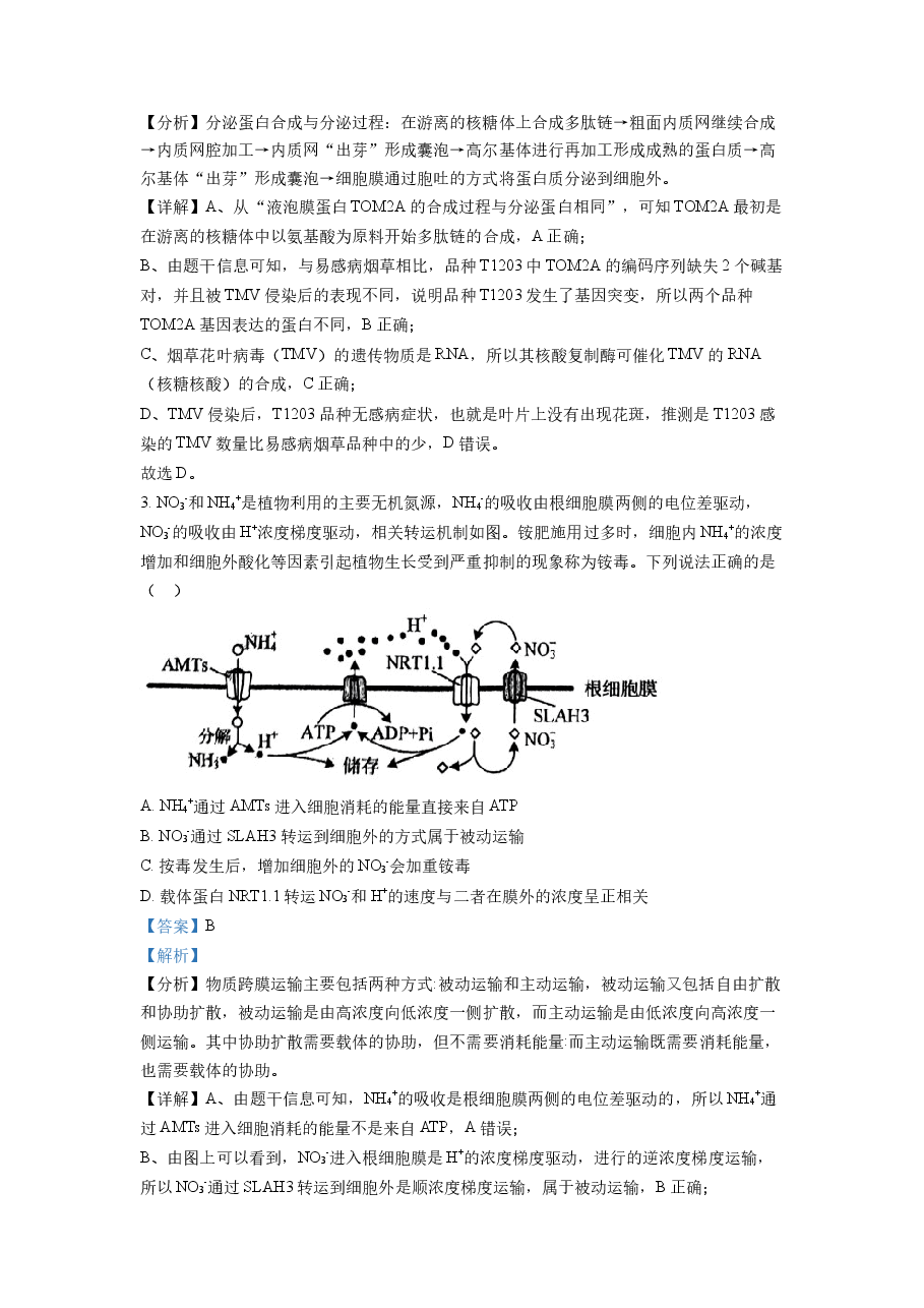 精品解析:2022年山东省学业水平选择性考试生物试题(解析版).docx,第2页预览