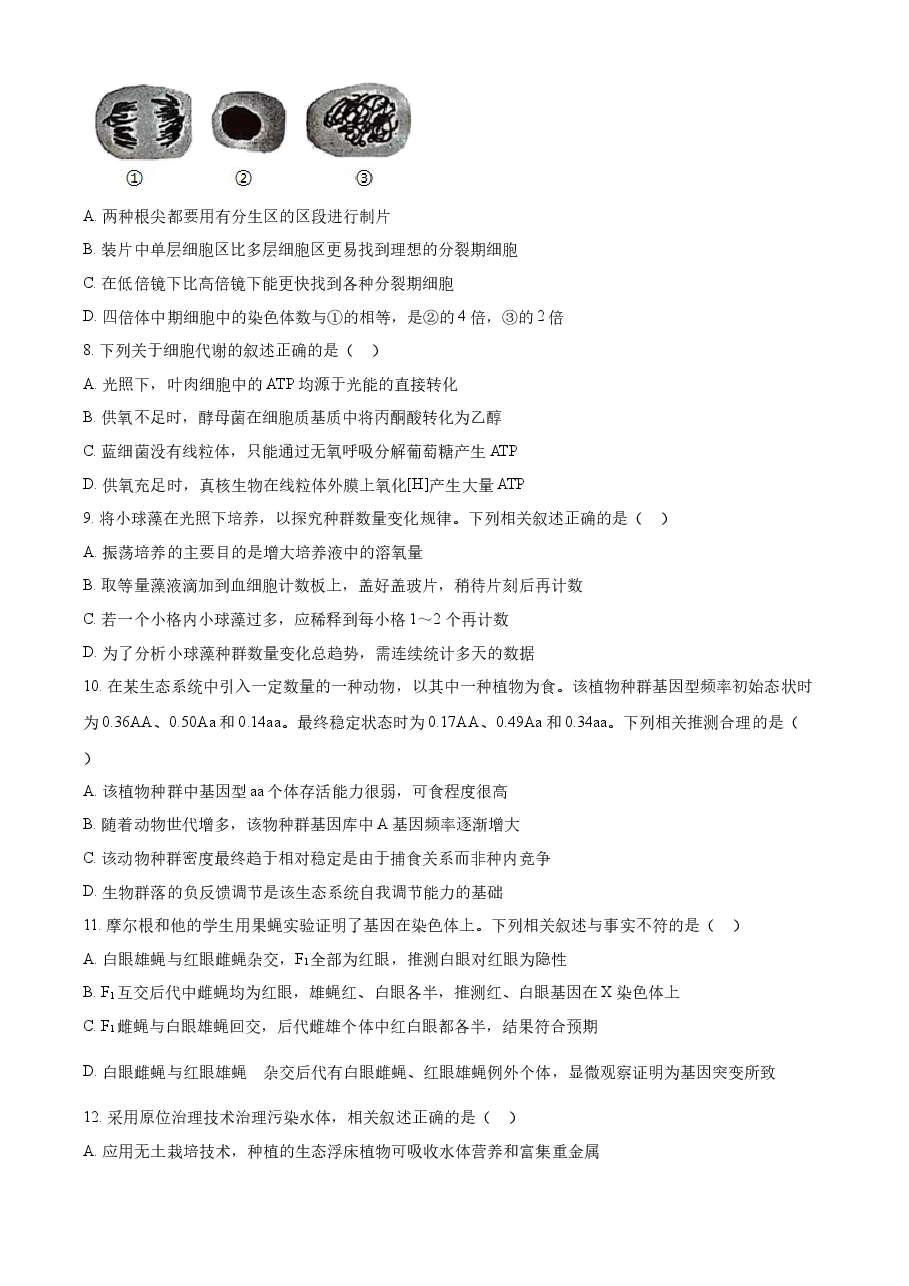 精品解析:2022年新教材江苏生物高考真题(原卷版).docx,第2页预览