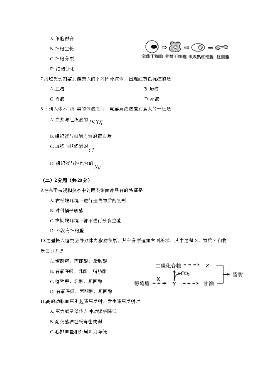 2009年上海市高中毕业统一学业考试生物试卷（原卷版）.doc，第2页预览