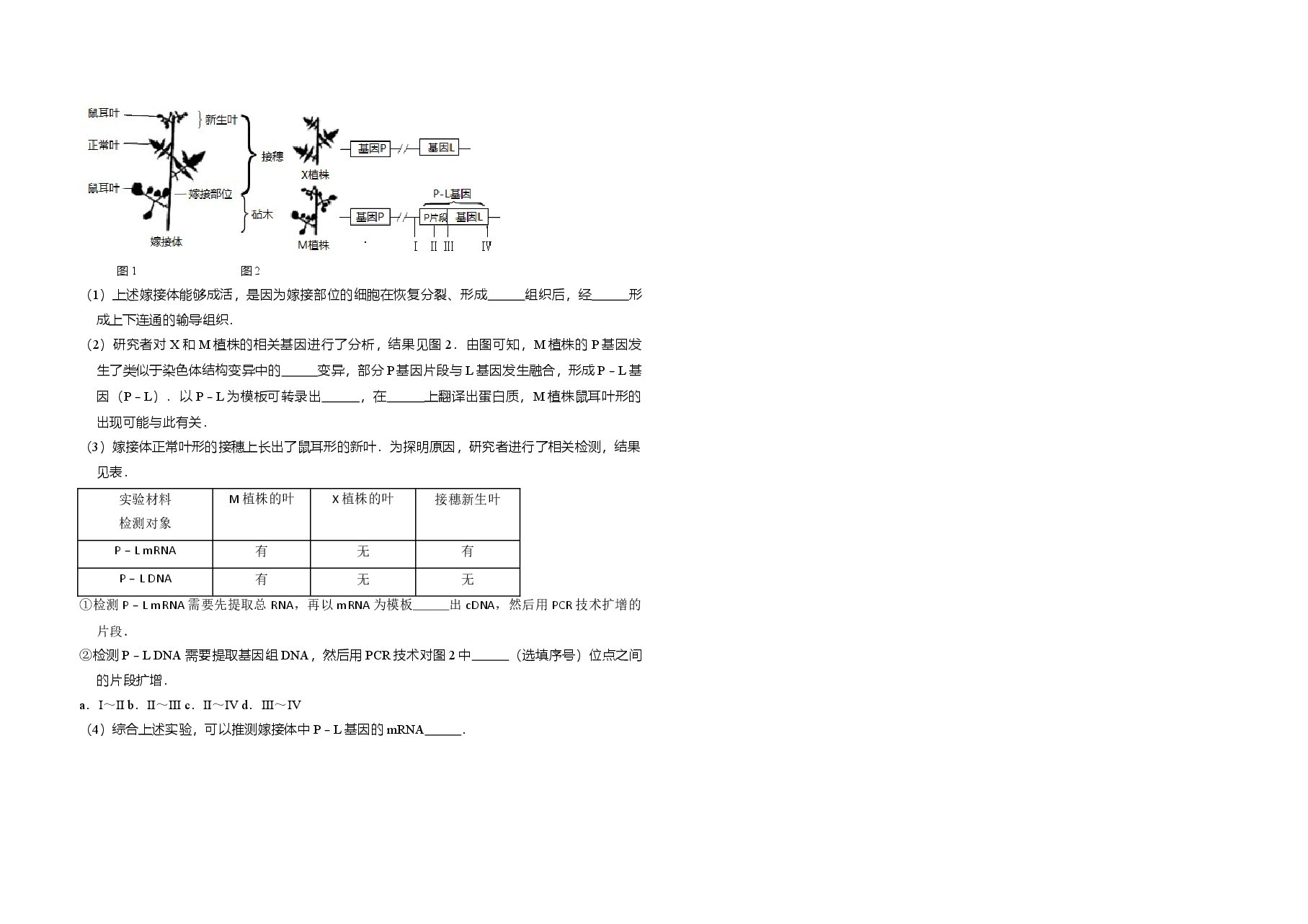 2016年北京市高考生物试卷(含解析版).doc,第3页预览