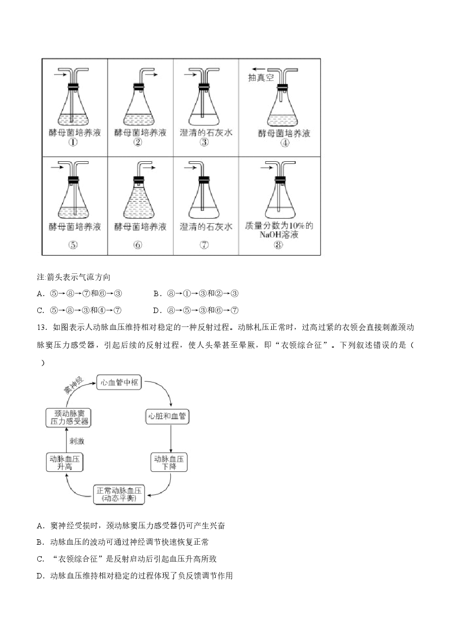 2022年新高考重庆生物高考真题文档版(原卷).docx,第4页预览