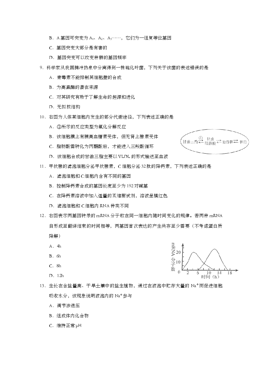 2011年上海市高中毕业统一学业考试生物试卷(原卷版).doc,第2页预览
