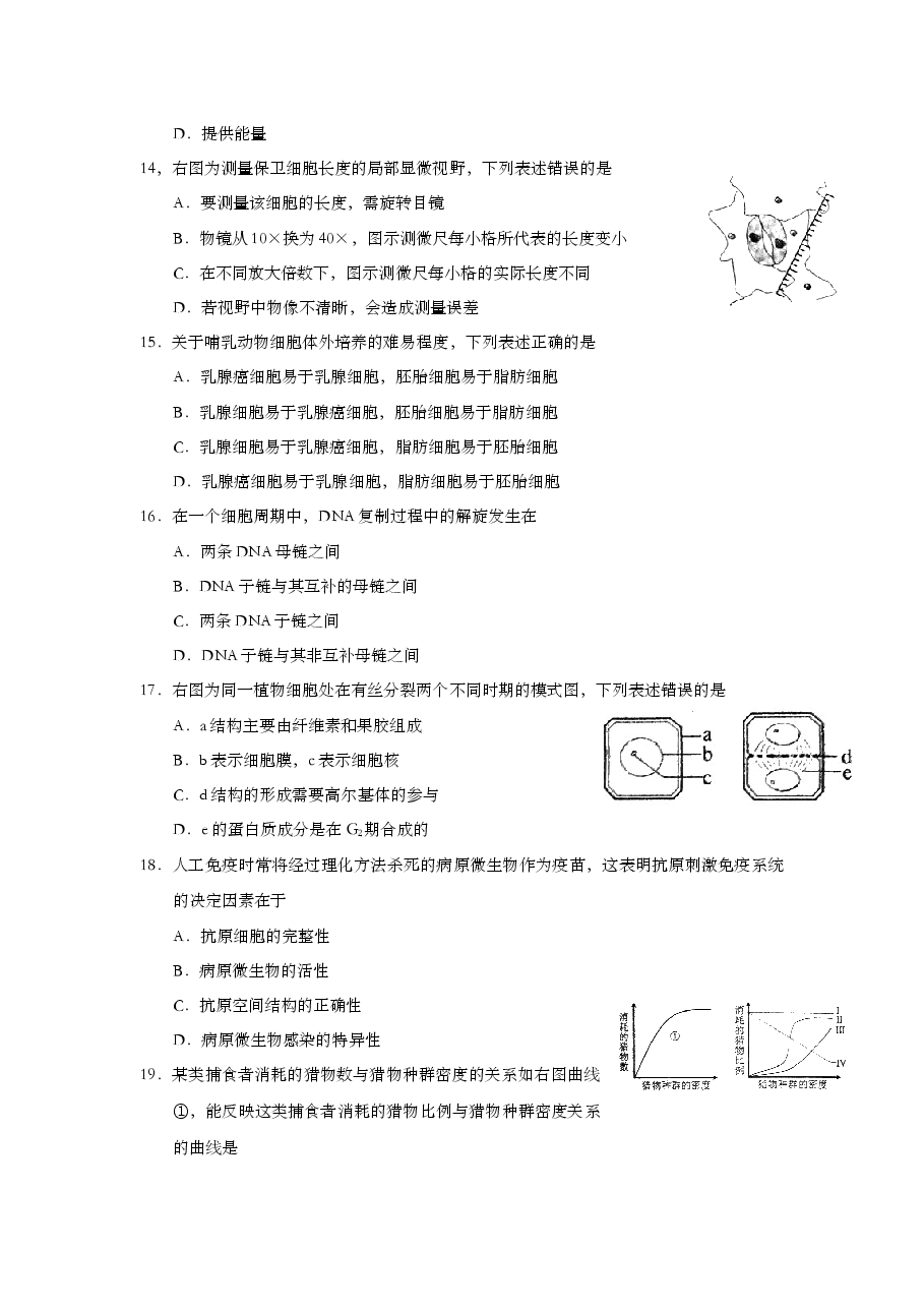2011年上海市高中毕业统一学业考试生物试卷(原卷版).doc,第3页预览