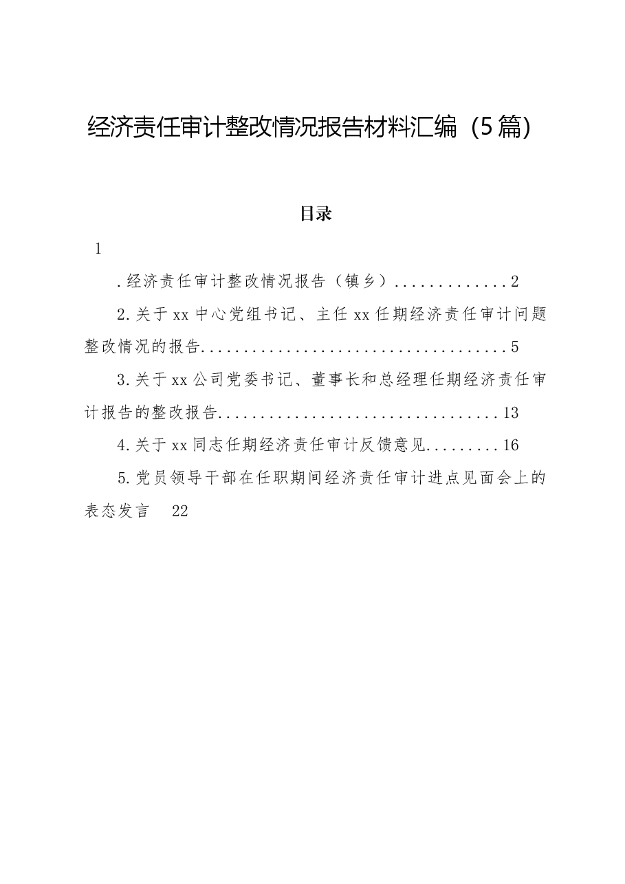 (5篇)经济责任审计整改情况报告材料汇编.docx,第1页预览