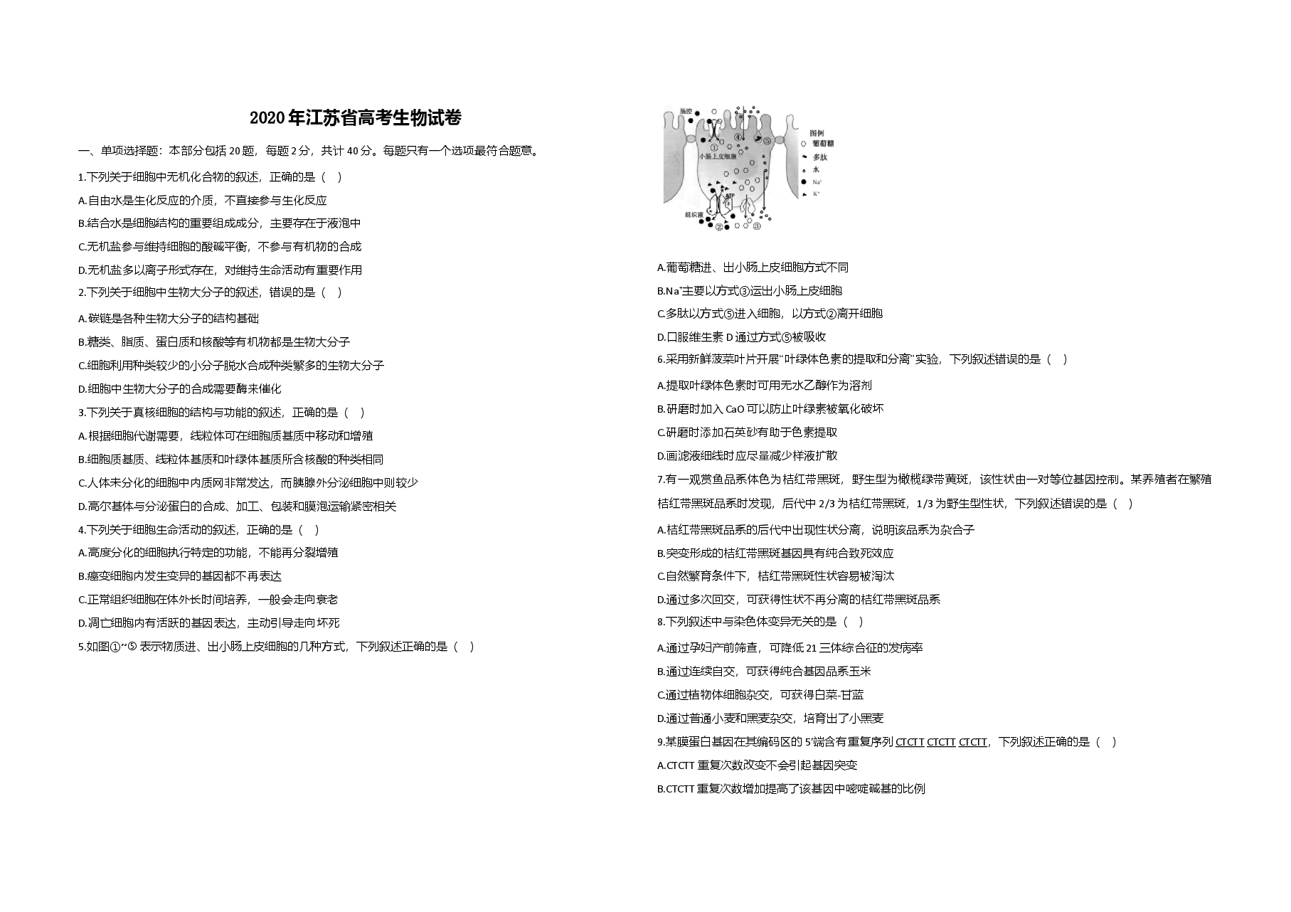 2020年江苏省高考生物试卷 .doc,第1页预览