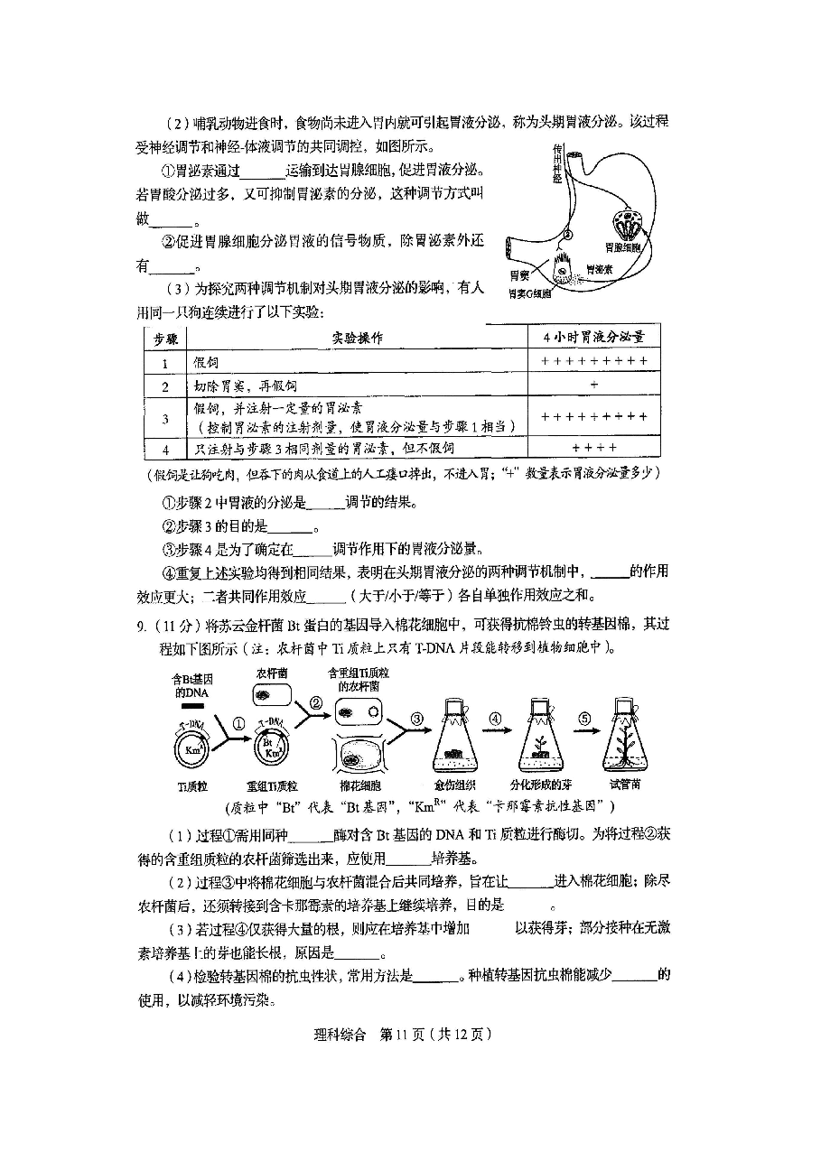 2015年四川省高考生物试卷及答案.doc,第3页预览