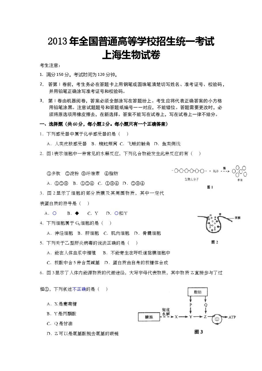 2013年上海市高中毕业统一学业考试生物试卷(原卷版).doc,第1页预览