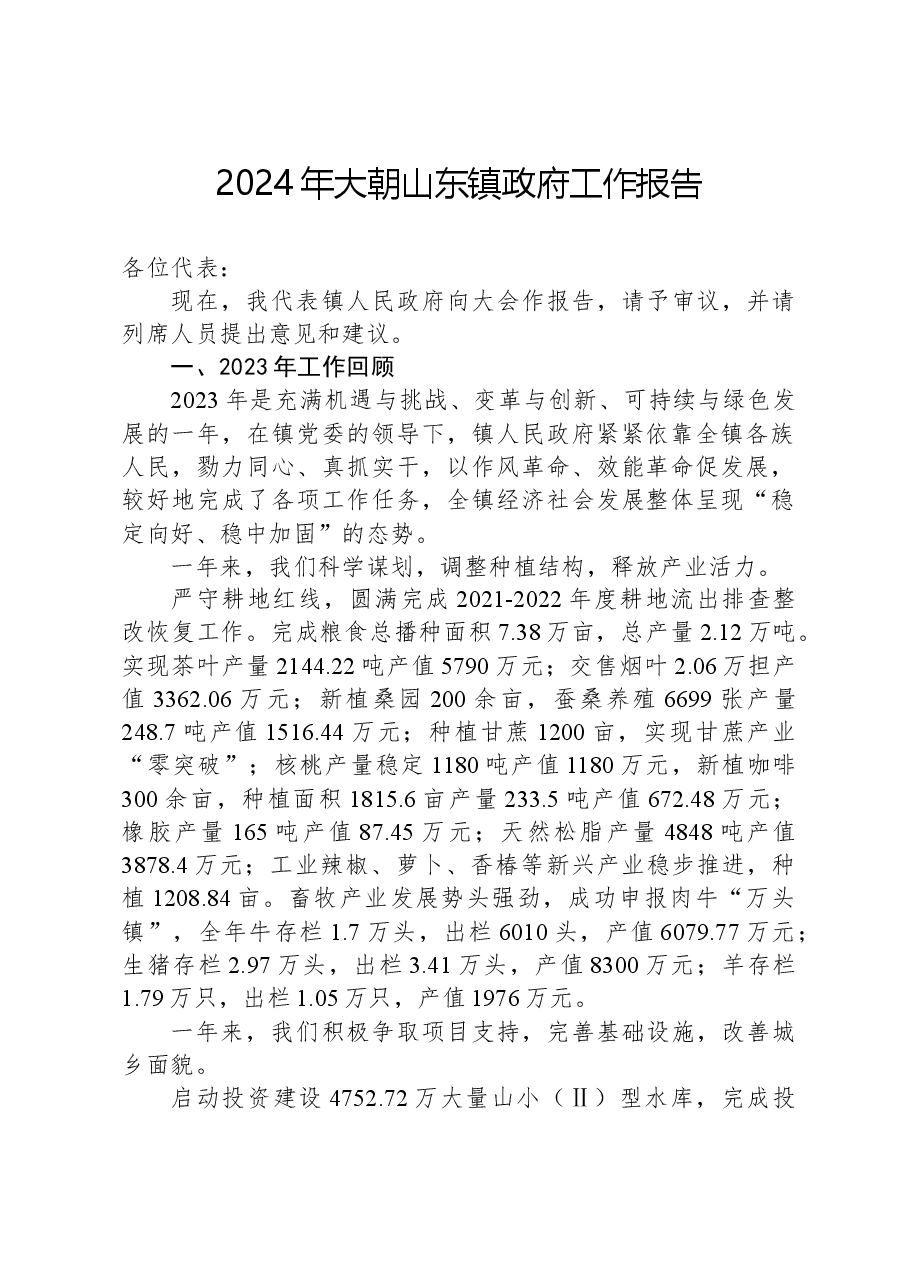 2024年大朝山东镇政府工作报告.docx，第1页预览