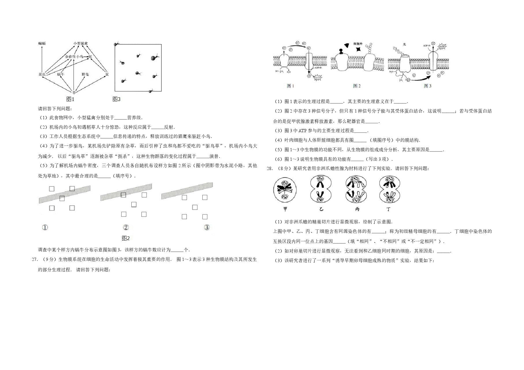 2014年江苏省高考生物试卷 .doc,第4页预览