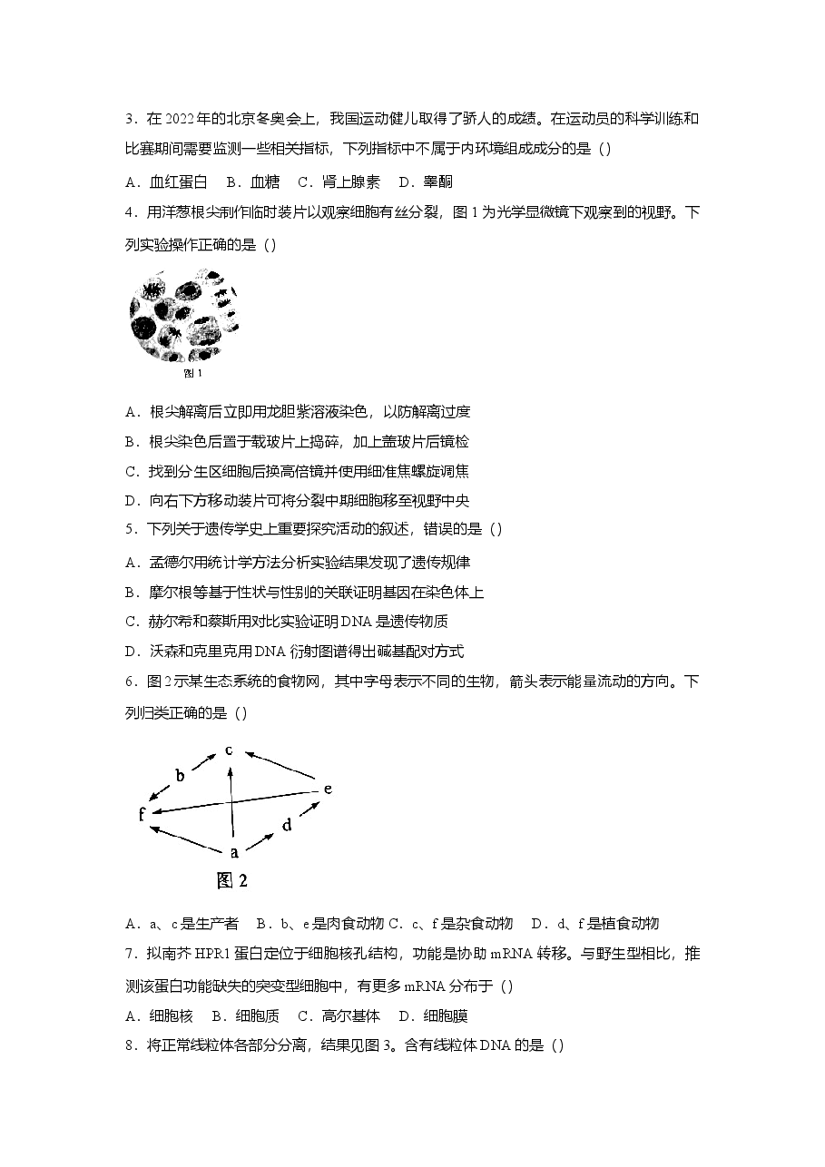 2022年高考真题——生物（广东卷） Word版（原卷）.doc，第2页预览
