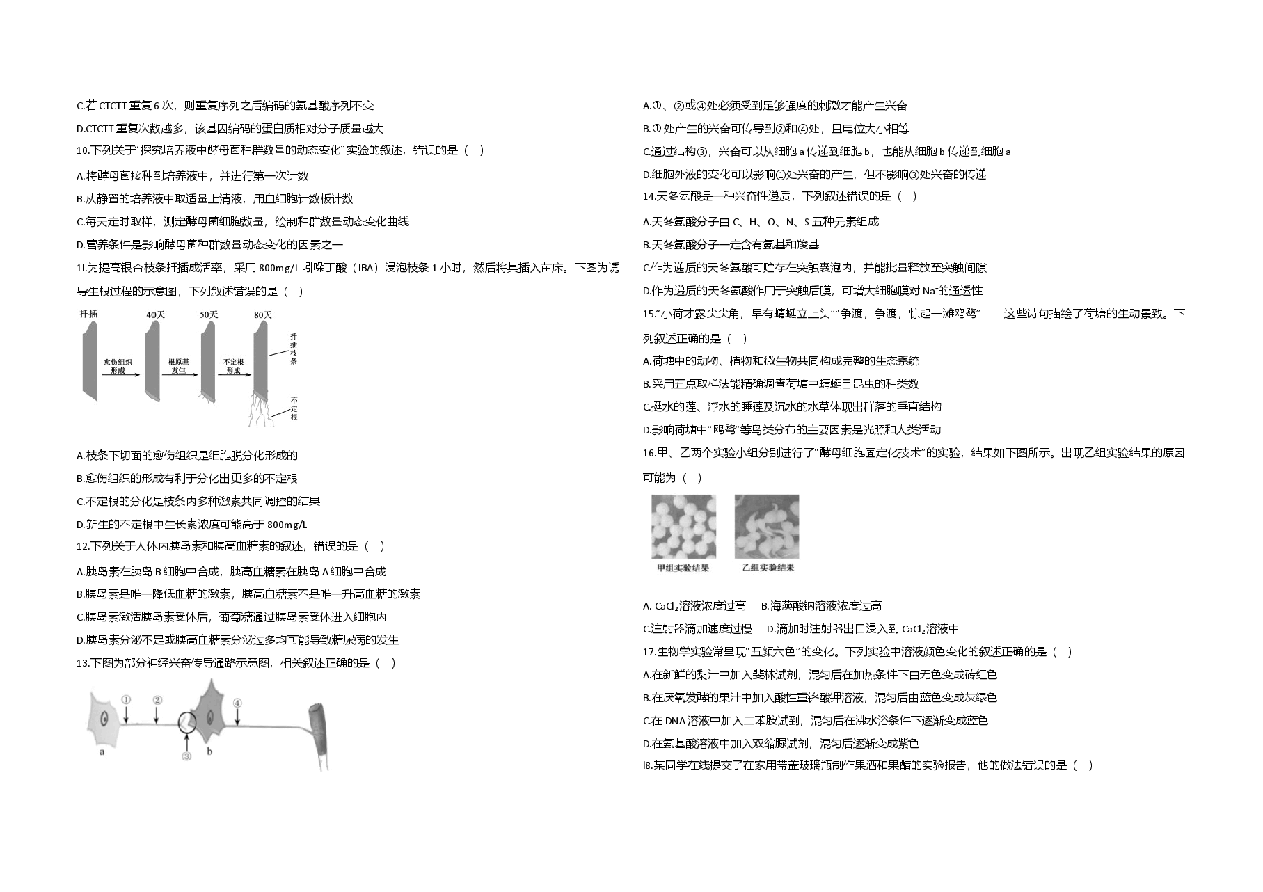 2020年江苏省高考生物试卷 .doc,第2页预览