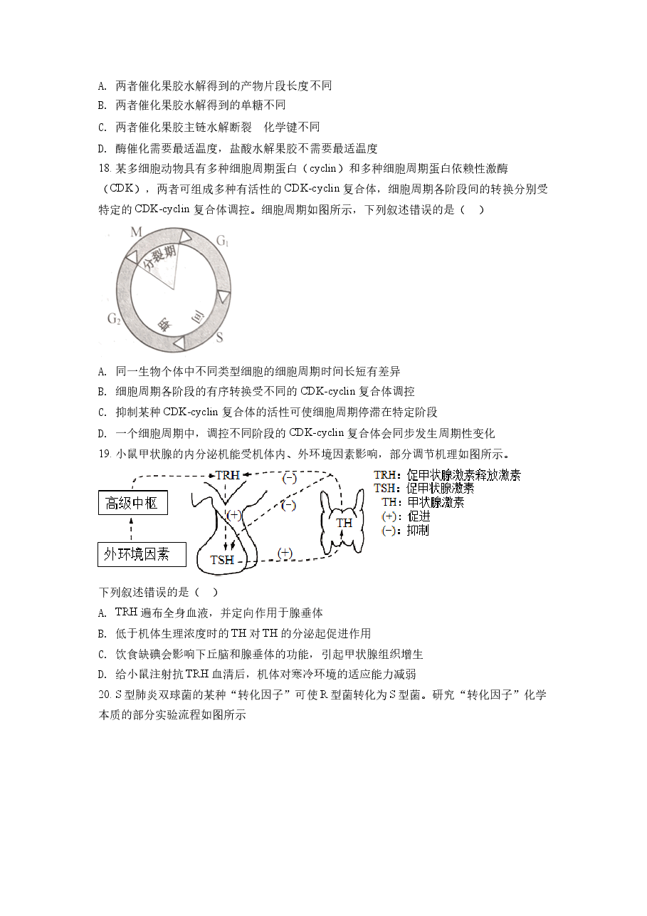 精品解析:2022年1月新高考浙江省生物高考真题(原卷版).docx,第4页预览