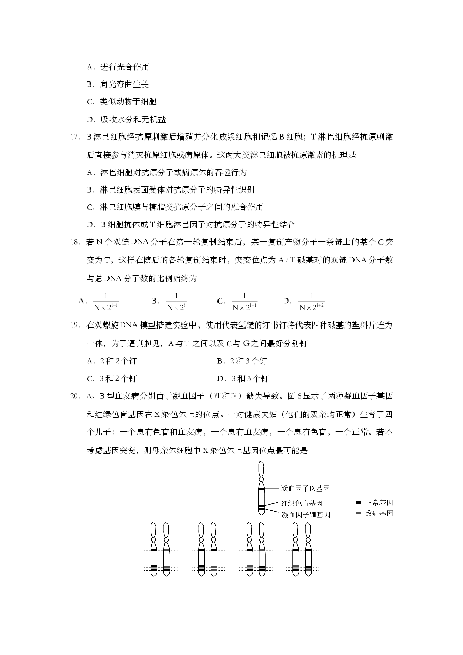 2015年上海市高中毕业统一学业考试生物试卷(原卷版).doc,第4页预览