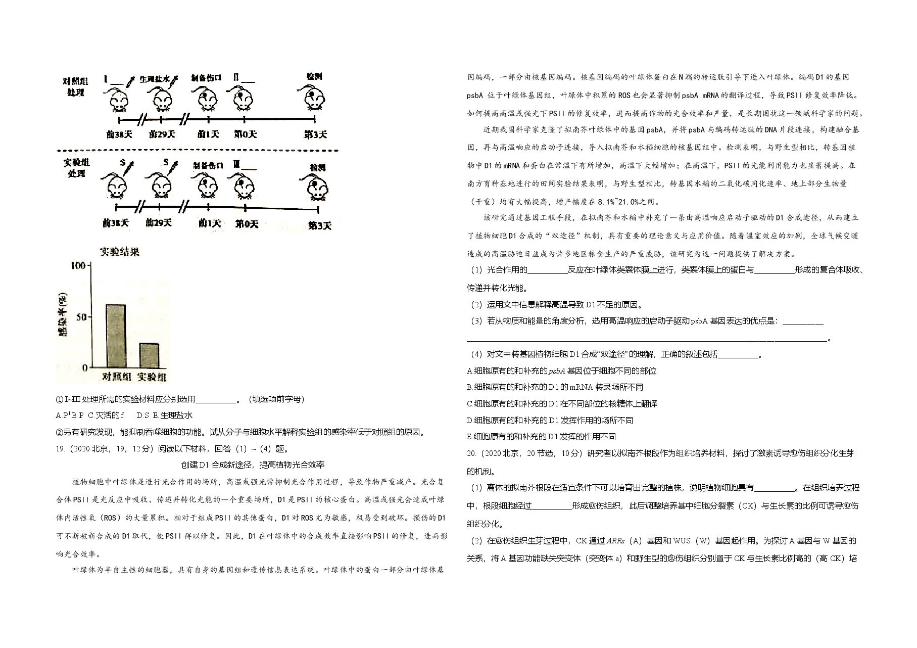 2020年北京市高考生物试卷（原卷版）.doc，第4页预览