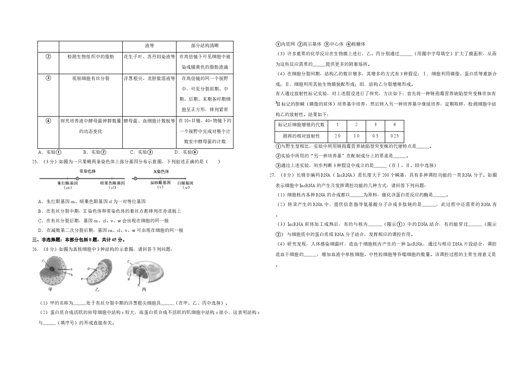 2018年江苏省高考生物试卷   .doc，第4页预览