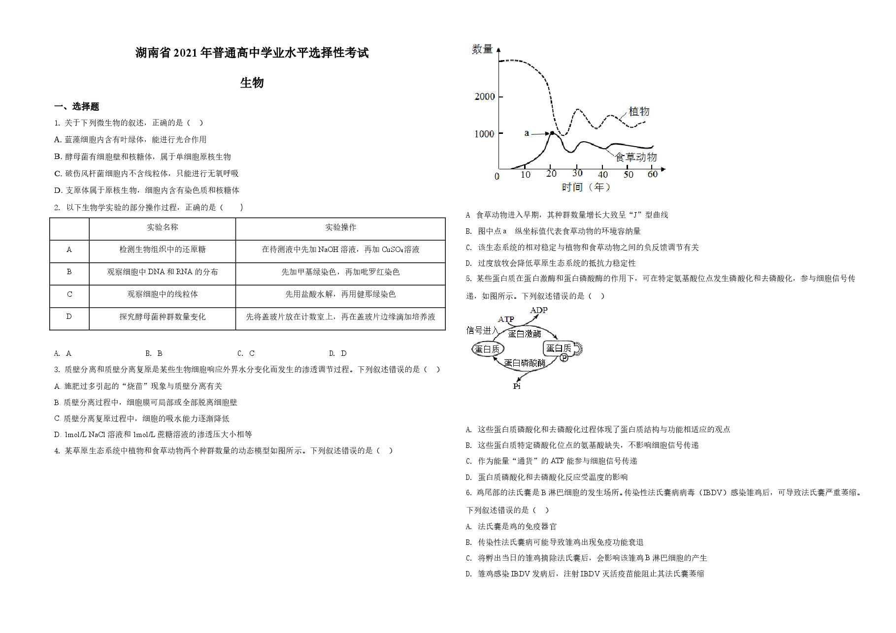 2021年湖南高考生物(新高考)(原卷版).doc,第1页预览