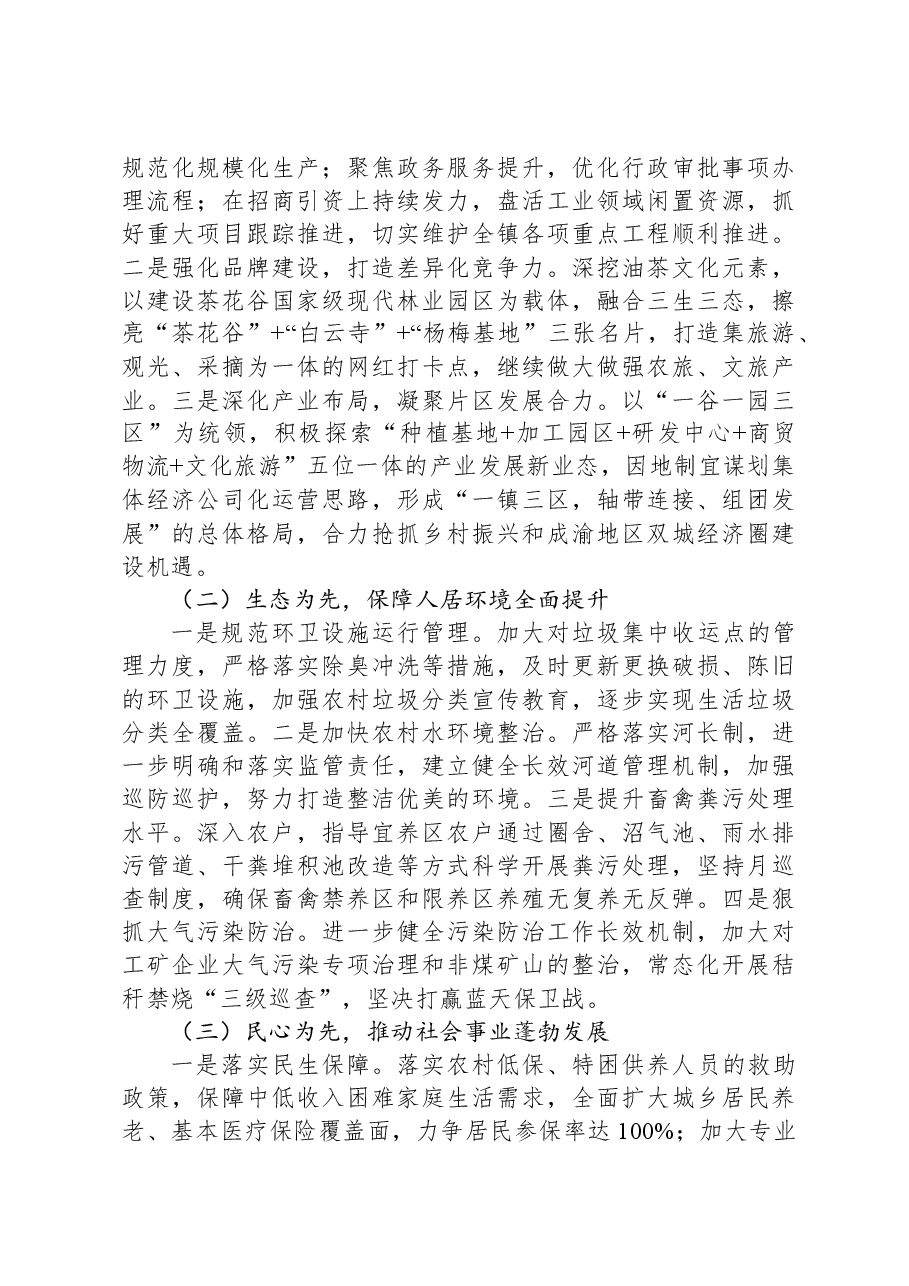 2024年度佳镇政府工作报告.docx,第4页预览
