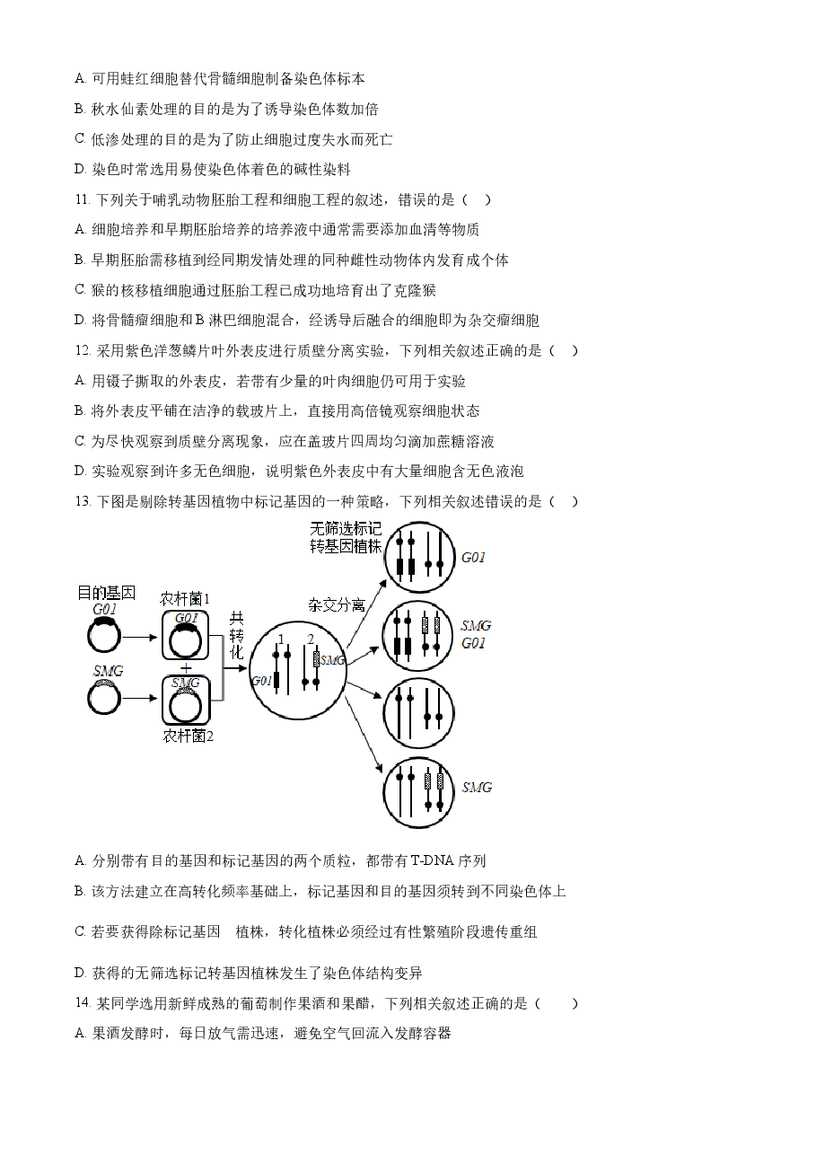 精品解析：2021年新高考江苏生物高考真题（原卷版）.docx，第3页预览