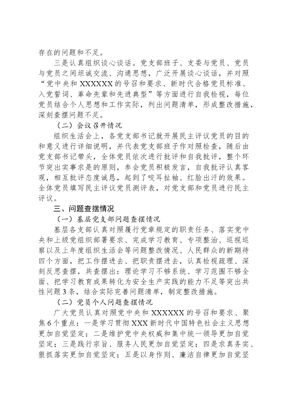 集团公司2023年度基层党支部组织生活会暨民主评议党员情况总结.docx，第3页预览