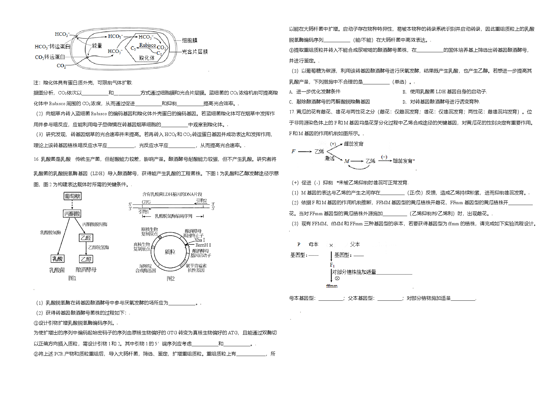 2021年天津市高考生物试卷   .doc，第4页预览