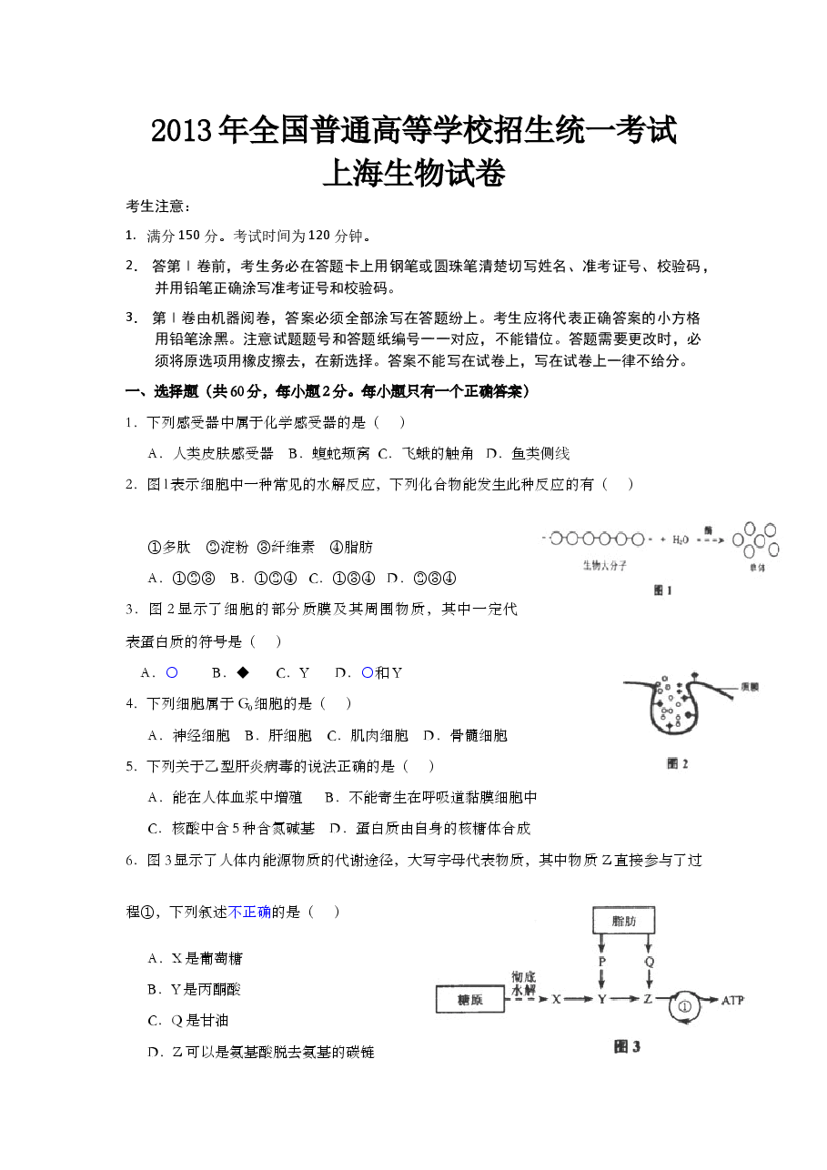 2013年上海市高中毕业统一学业考试生物试卷(word解析版).doc,第1页预览