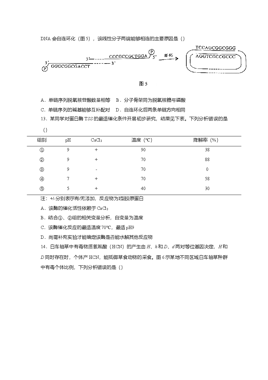 2022年高考真题——生物（广东卷） Word版（原卷）.doc，第4页预览