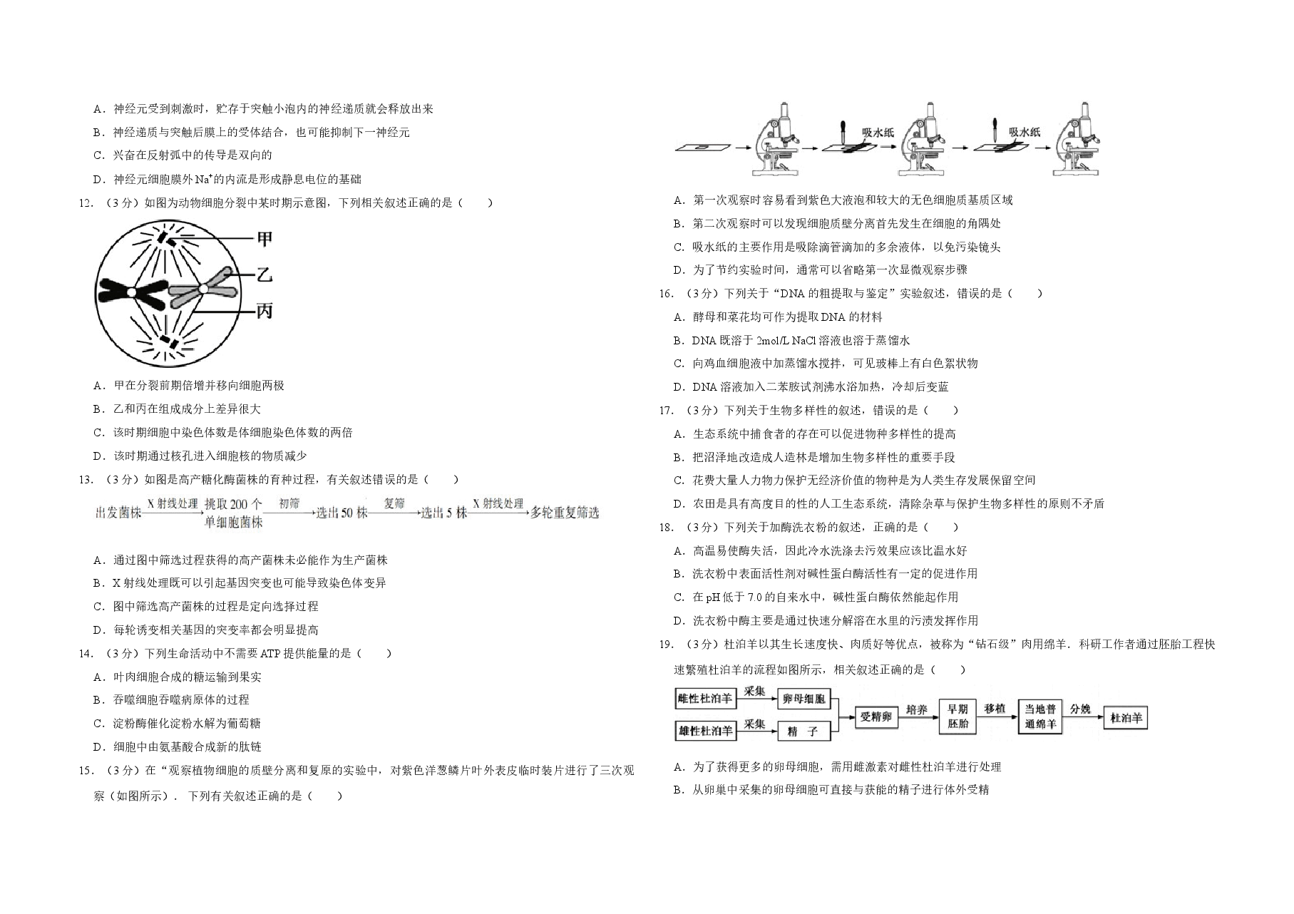 2014年江苏省高考生物试卷 .doc,第2页预览
