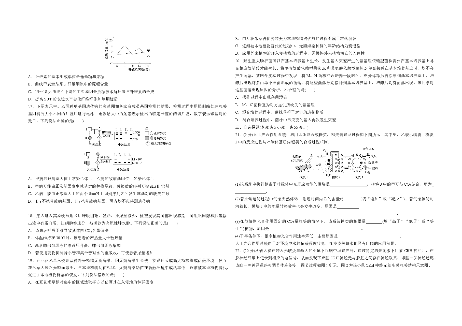 2020年高考真题 生物(山东卷)(原卷版).docx,第3页预览