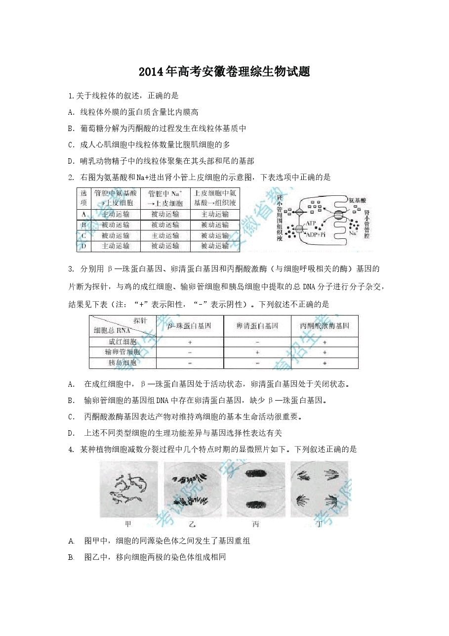 2014年安徽高考生物真题及答案.docx,第1页预览