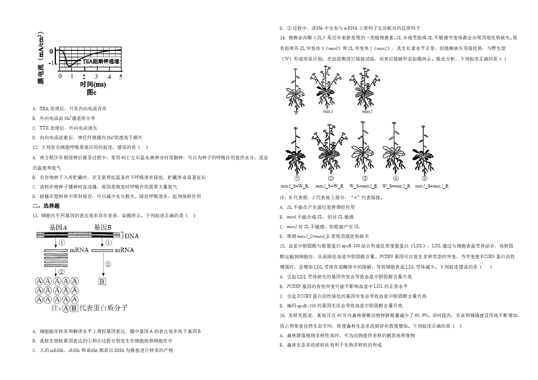 2021年湖南高考生物(新高考)(原卷版).doc,第3页预览