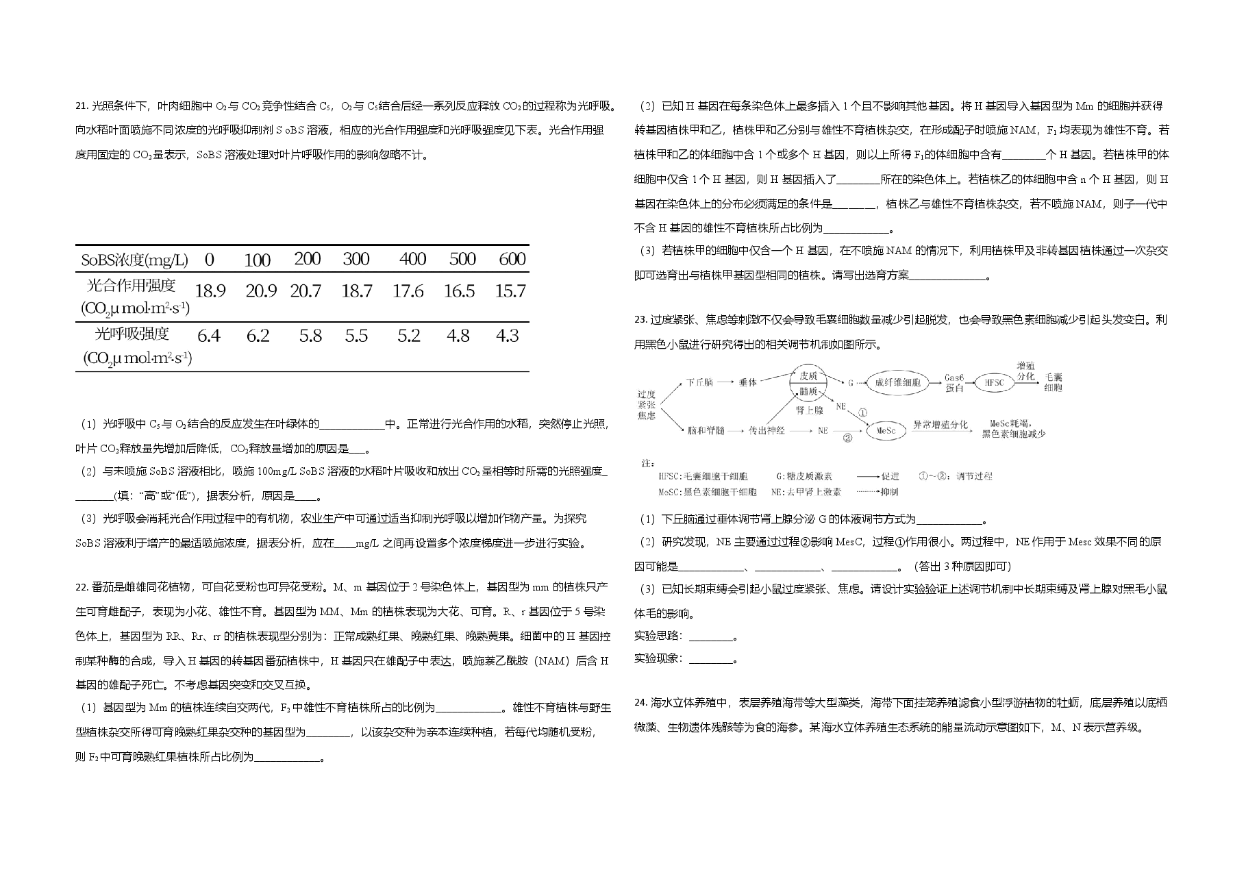 2021年高考真题 生物(山东卷)(原卷版).doc,第4页预览