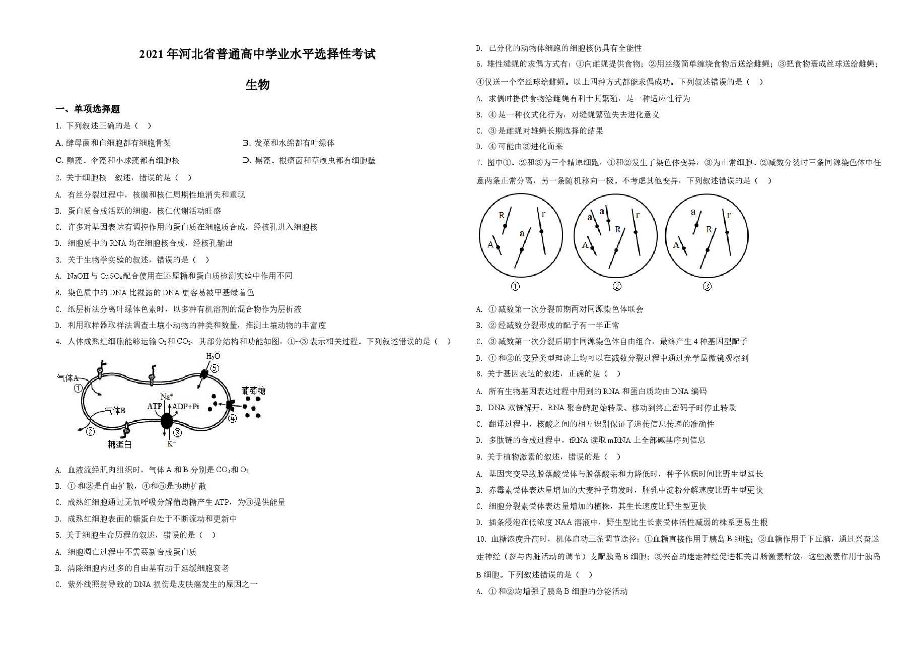 2021年河北高考生物试卷(新高考)(原卷版).doc,第1页预览