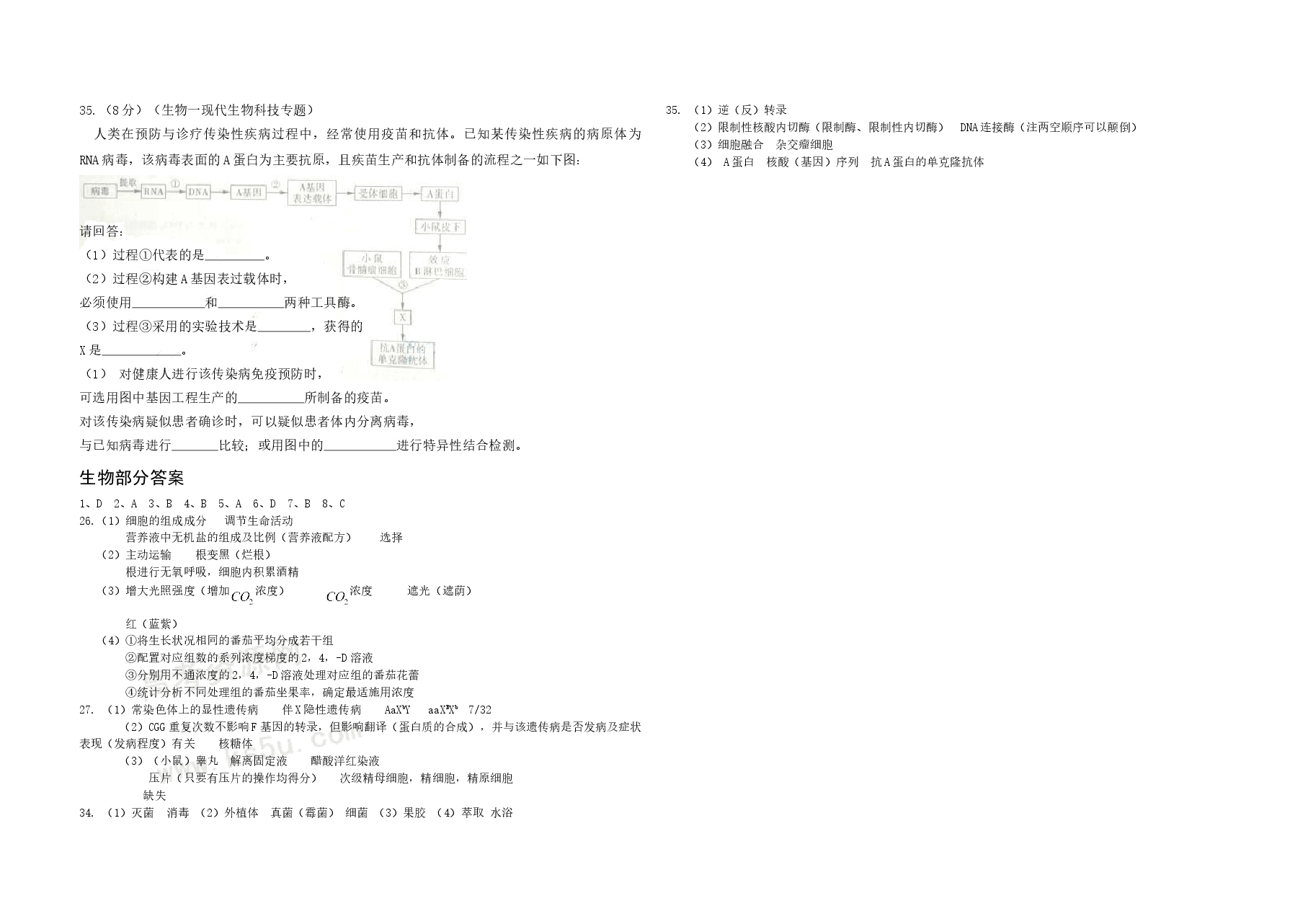 2009年高考真题 生物(山东卷)(含解析版).doc,第3页预览