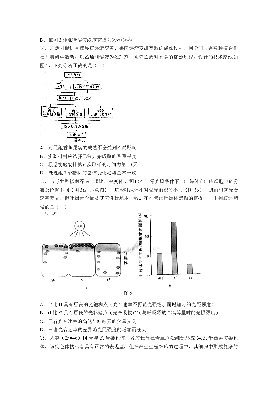 2021年高考真题—— 生物（广东卷） (原卷版）.doc，第4页预览