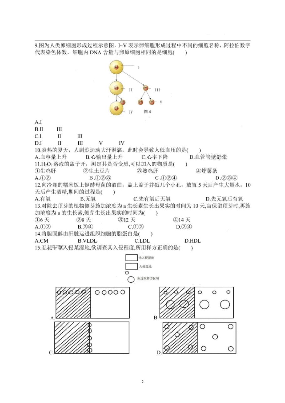 2020年上海市普通高中学业水平等级性考试生物试卷(pdf,有答案)_纯图版.pdf,第2页预览
