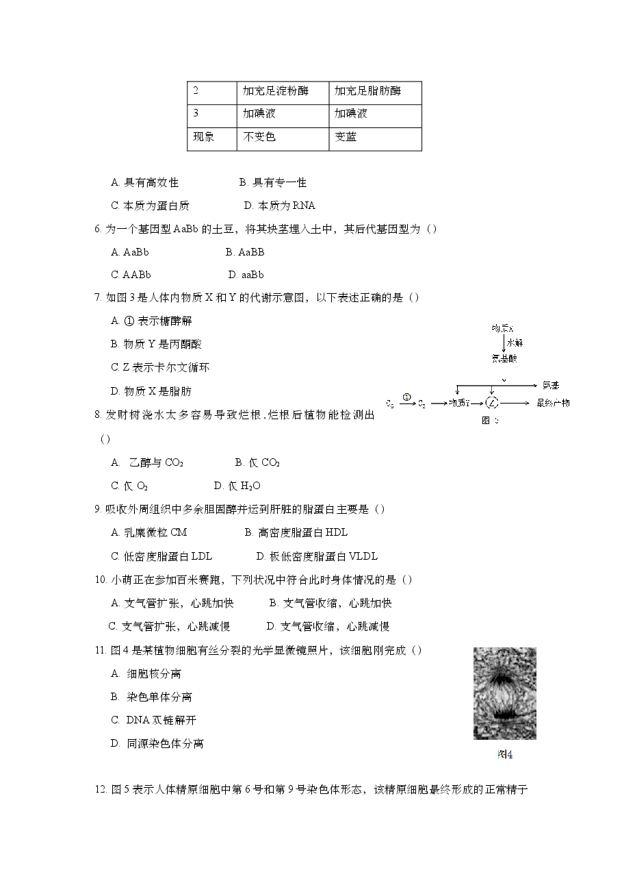 2018年上海市高中毕业统一学业考试生物试卷(答案版).doc,第2页预览