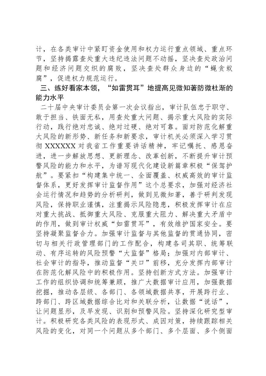市委书记在2024年调研审计工作座谈会上的讲话.docx,第4页预览