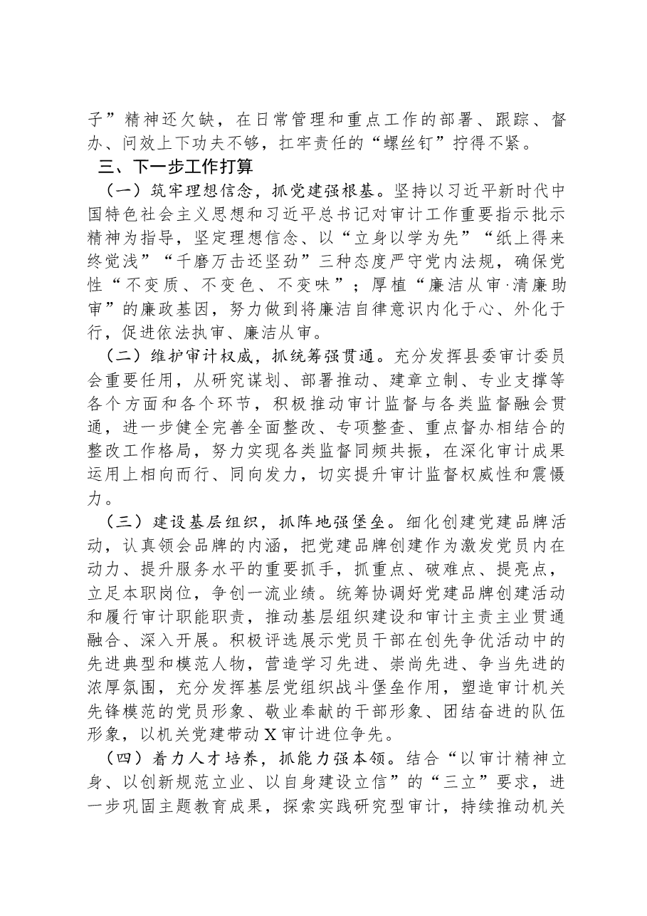 县审计局2023年度抓基层党建工作述职和述责述廉报告.docx,第4页预览
