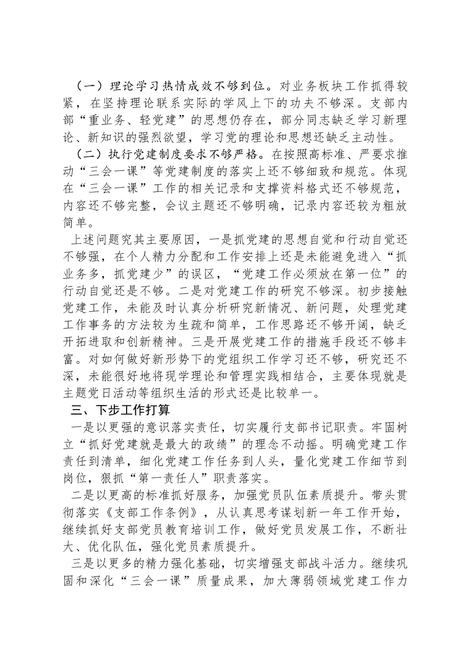 党支部书记2023年抓基层党建工作述职报告-2.docx,第3页预览