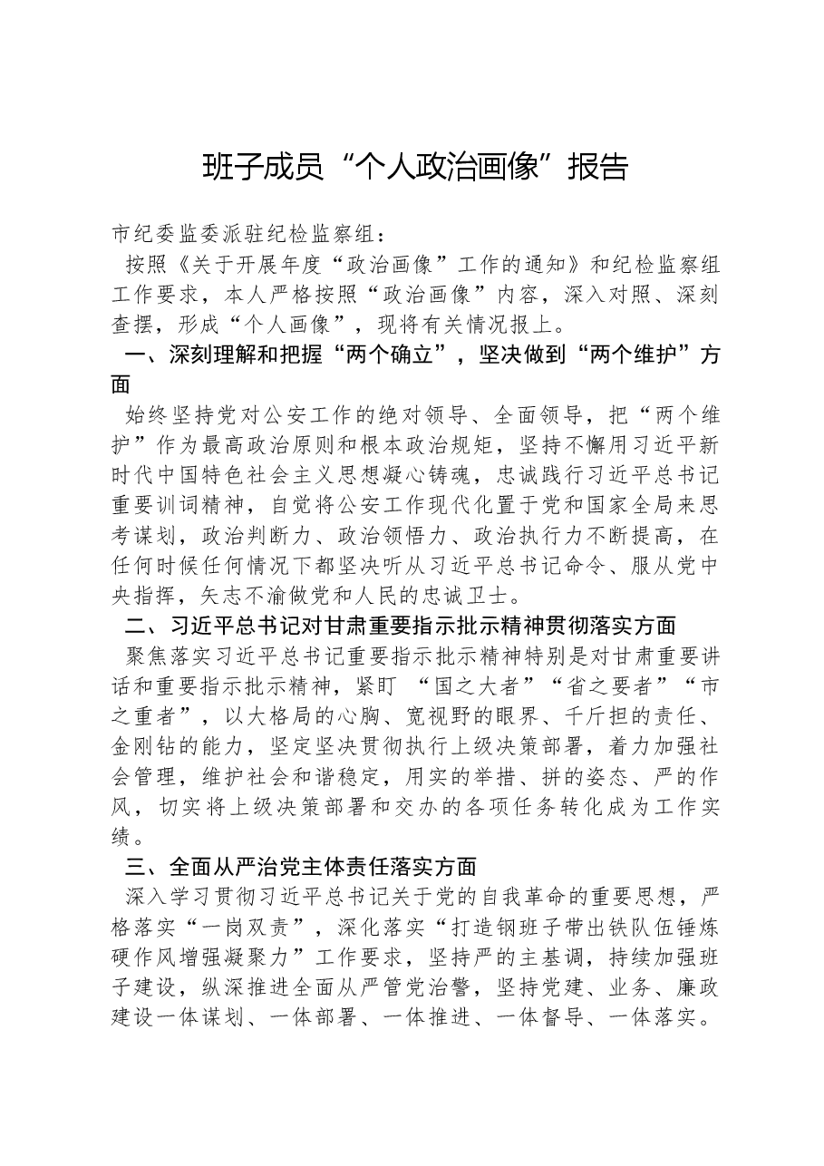 班子成员“个人政治画像”报告.docx,第1页预览