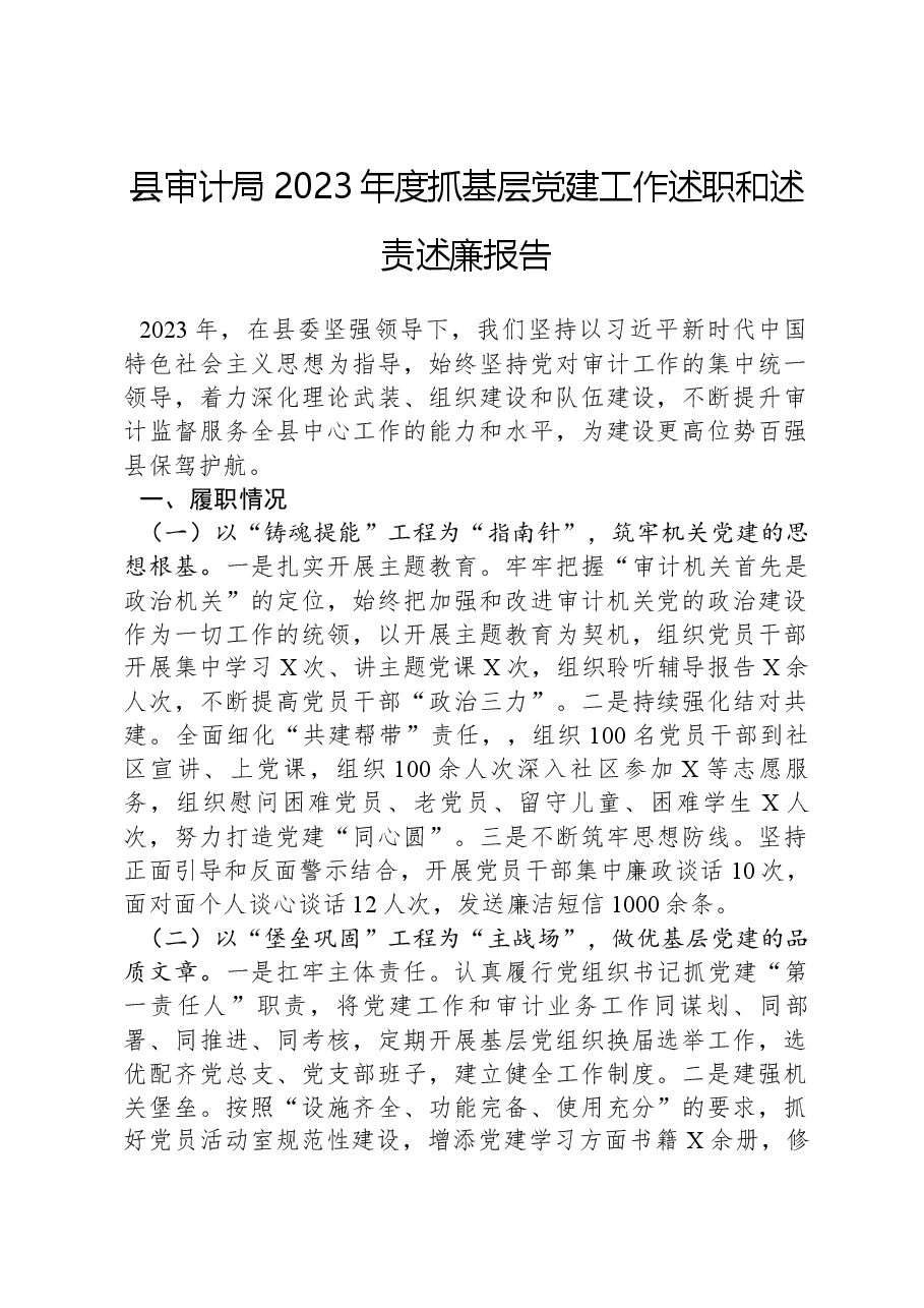 县审计局2023年度抓基层党建工作述职和述责述廉报告.docx,第1页预览