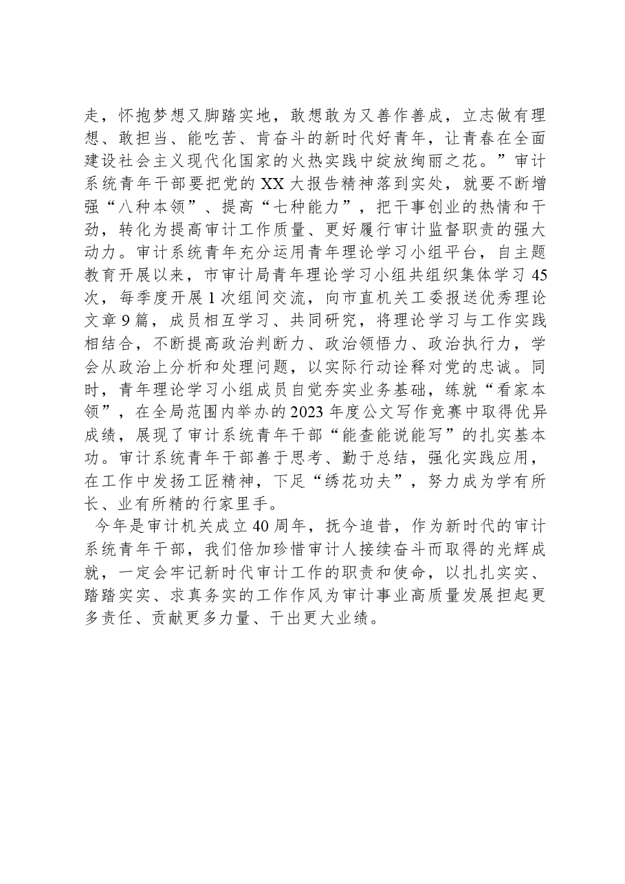 交流发言:以青春之我,推动审计事业高质量发展.docx,第3页预览