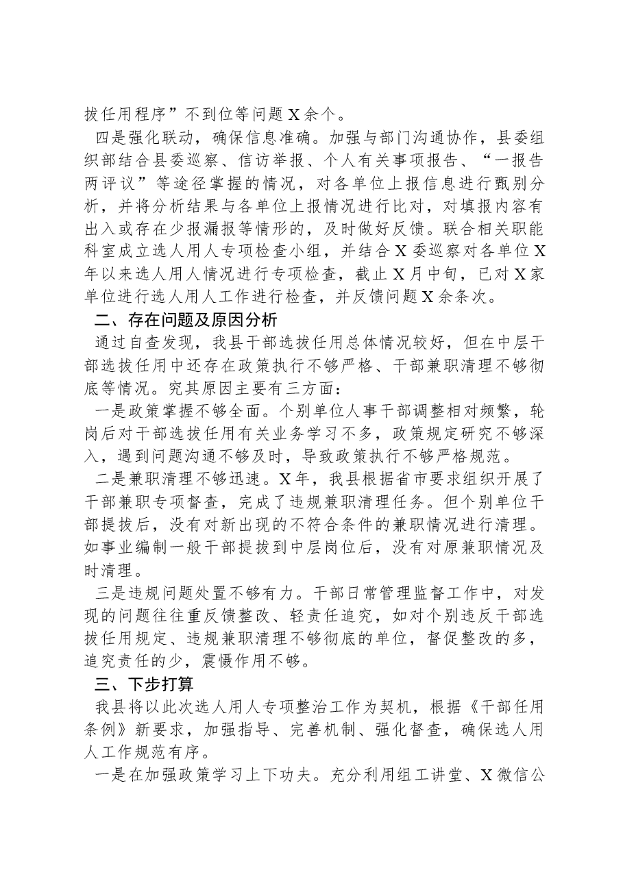 选人用人突出问题专项整治行动阶段性总结.docx,第2页预览