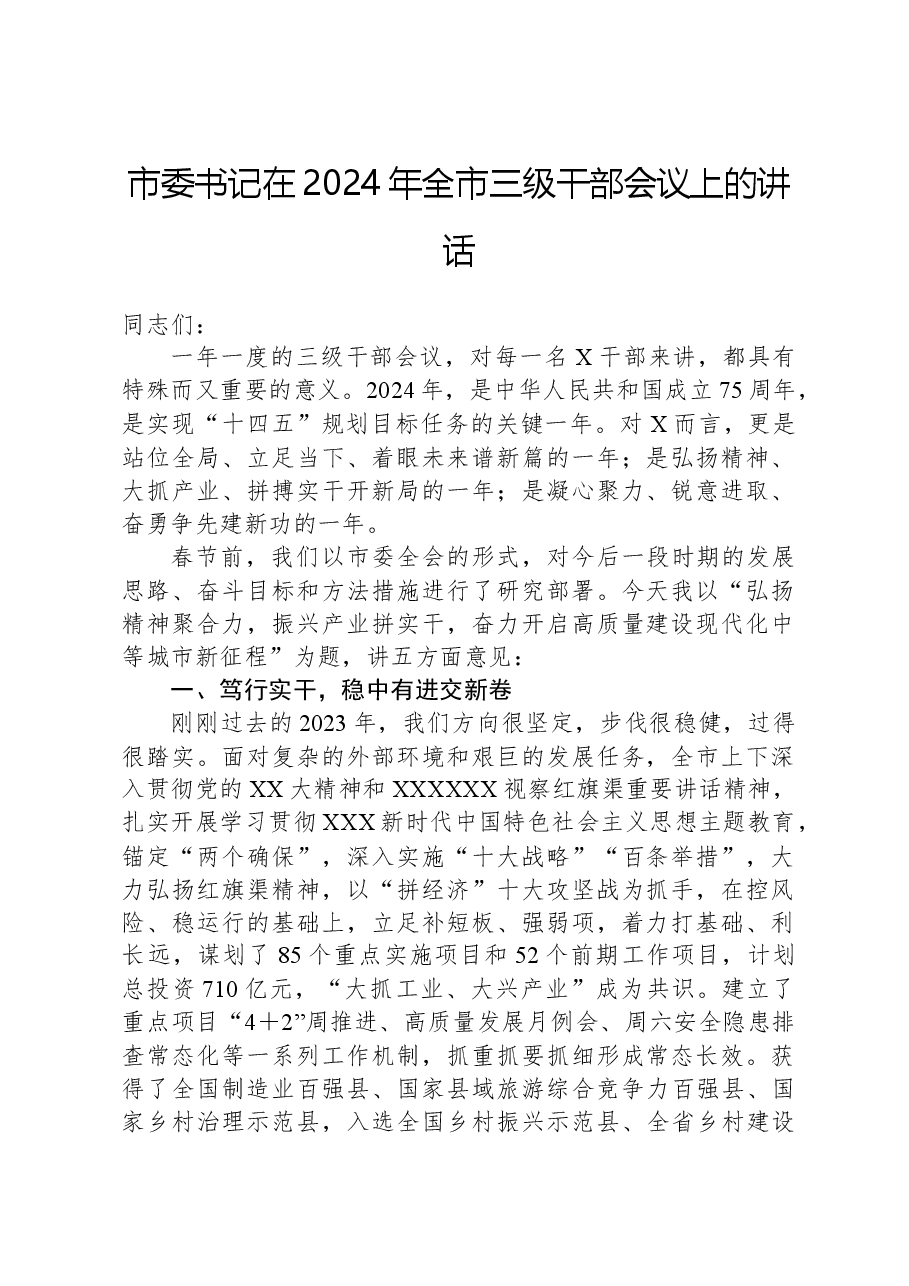 市委书记在2024年全市三级干部会议上的讲话.docx，第1页预览