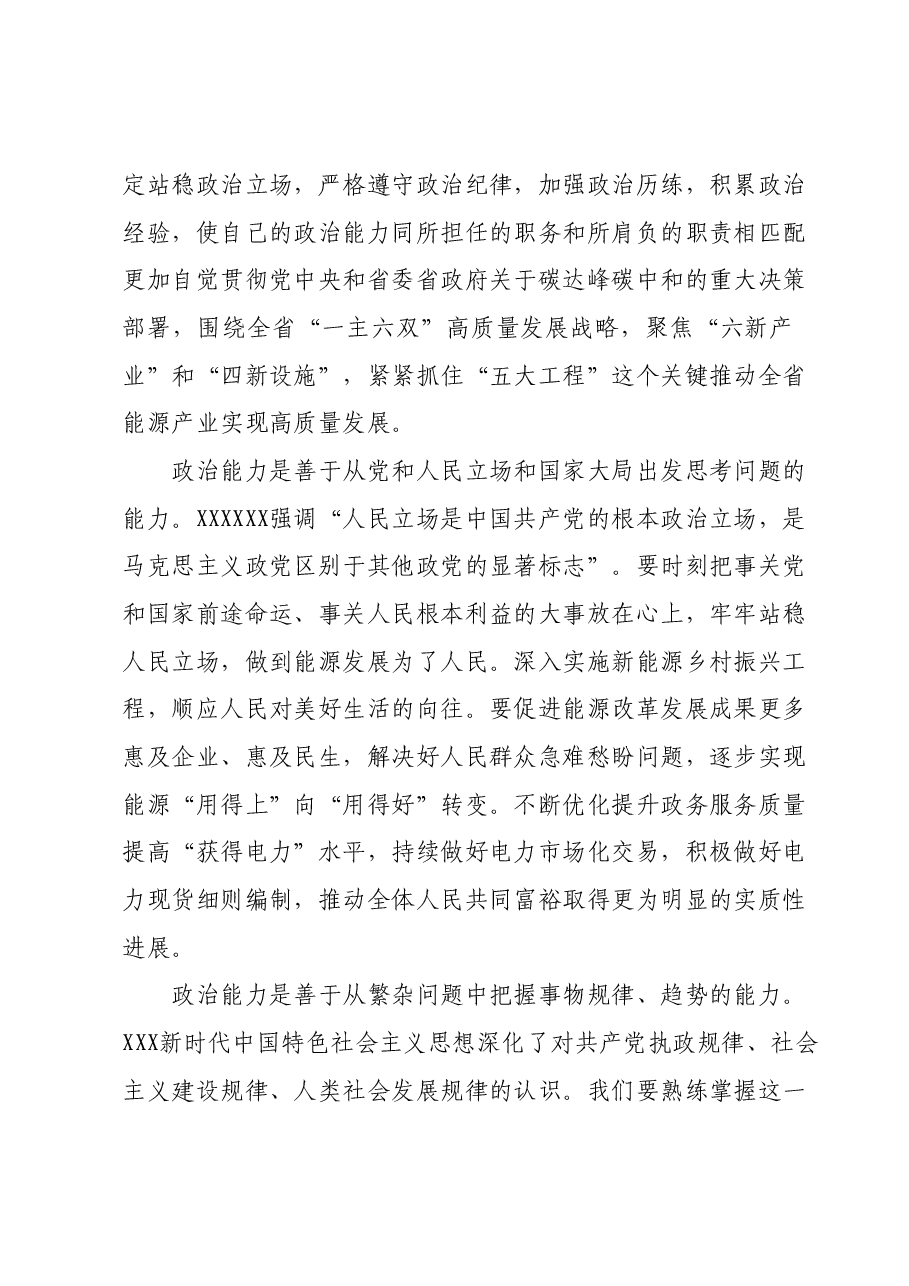 2024年专题党课:锚定双碳目标 着力提升“三个能力” 坚决扛起能源高质量发展重任.docx,第2页预览
